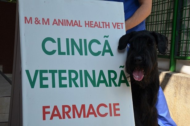M&M Animal Health Vet - cabinet veterinar