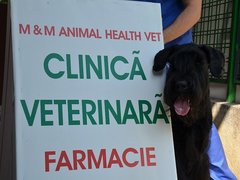 M&M Animal Health Vet - cabinet veterinar